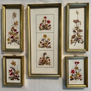 5 VINTAGE Reichlin pressed flowers in frames handmade in Switzerland.